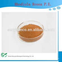 Suministro Rhodiola Rosea Extracto Salidrosida, Rhodiola Rosea PE De Fábrica